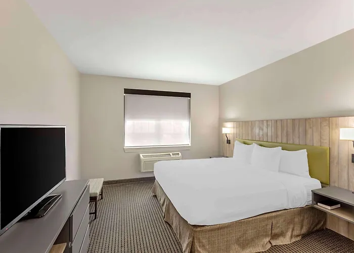 Country & By Radisson, Elk Grove Village-itasca
