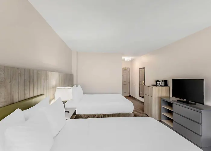 Country & By Radisson, Elk Grove Village-itasca