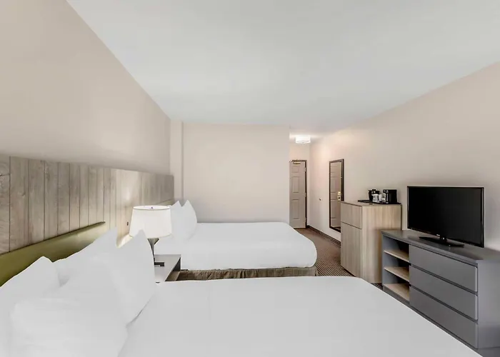 Country & By Radisson, Elk Grove Village-itasca Hotel Elk Grove Village